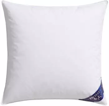 Excellent Bettwaren Excellent Venedig 1-tlg 90% Daunen 80x80cm