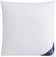 SPESSARTTRAUM G&auml;nsedaunenkopfkissen "Premium, Kopfkissen 1-tlg. oder 2-tlg....