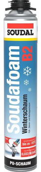 Soudal Soudafoam B2 Winterschaum