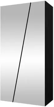 Mirjan24 Zen 2L Drehtürenschrank mit Spiegel, schwarz, 100x202x50cm