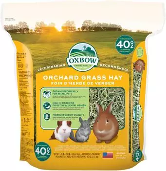 Oxbow Orchard Grass Heu für Kleintiere 1,13kg (101-104-0400)
