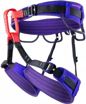 Beal Morpheus (M) (Purple)