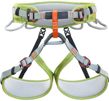 Climbing Technology Ascent (grey/green) XS-S