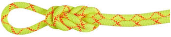 Mammut Alpine Core Protect Dry 9.5mm 60m