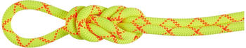 Mammut Alpine Core Protect Dry 9.5mm 30m