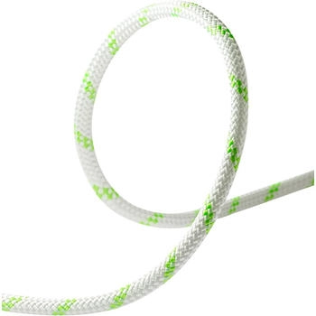Edelrid Pintail 10.0mm Canyoningseil (100m, weiss)