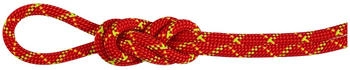 Mammut 8.0 Alpine Core Protect Dry (40M, rot)