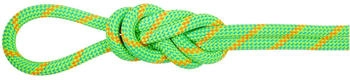 Mammut 8.0 Alpine Eco Dry (30m, gruen)