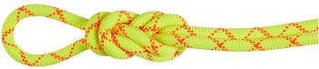 Mammut 9.5 Alpine Core Protect Dry (80M, gelb)