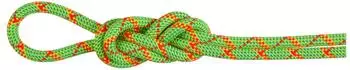 Mammut 8.0 Alpine Core Protect Dry Rope 70 m (gr&uuml;n)