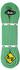 80m (green): Beal Tiger Unicore Dry Cover 10mm