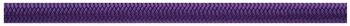Beal Wall Master VI 10.5 (50m) violet