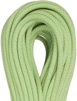 Beal Stinger III 9.4 Dry Cover 50m (anis)