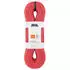 Petzl Arial 9.5