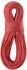 (60m) red: Edelrid Boa 9.8