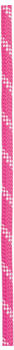 Edelrid Performance Static 10,5mm pink 50m