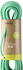 bright green 60m: Edelrid Eagle Lite Eco Dry 9,5mm
