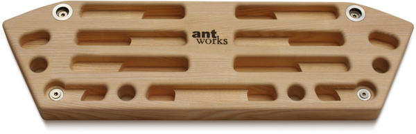 antworks Strong Ant 3 Hangboard