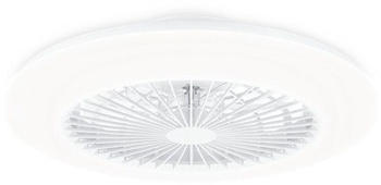 Philips Amigo Deckenventilator mit Beleuchtung 60+25 W WH