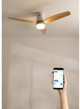 CREATE Windcalm Dc Stylance Ceiling Fan Natural Wood with Light and Wifi