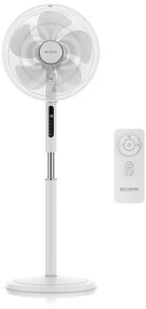 Brandson 307301