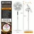 Brandson 307301