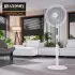 Brandson 307301