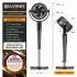 Brandson 307361