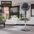 Brandson 307361