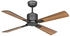 CasaFan DC Deckenventilator Eco Neo III WiFi 103 BG SW-TK schwarz (952101W)