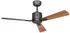 CasaFan DC Deckenventilator Eco Neo III WiFi 103 BG SW-TK schwarz (952101W)