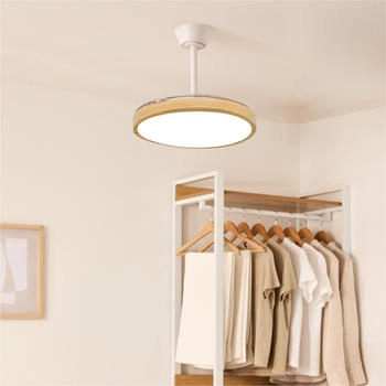 CREATE Wind Clear Studio S white/light wood