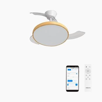 CREATE Wind Clear Studio S Wi-Fi white/light wood