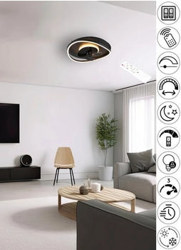 Trio SORTLAND Deckenventilator mit LED Beleuchtung Schwarz matt (R67393132)