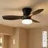 Globo Irwin Deckenventilator LED dimmbar mit Fernbedienung, schwarz, 61cm (03669)