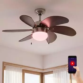 ETC Shop Smart LED Deckenventilator dimmbar, RGB, &Oslash;75cm, dunkelbraun/titan (5W)