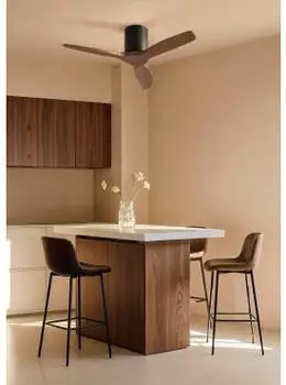 CREATE Wild Calm S (whitout light + wall controller + remote) Black/Dark Wood