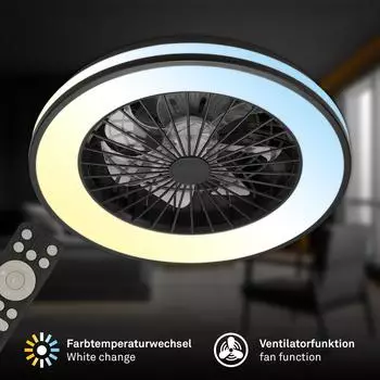 Briloner BREEZY LED-Deckenventilator mit Licht, CCT, dimmbar, schwarz (3801015)