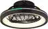 Globo Deanne Deckenventilator mit Licht RGB LED Fernbedienung schwarz (03665)