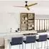 Faro Alo DC-Deckenventilator mit LED & Fernbedienung, schwarz (33719DCS)