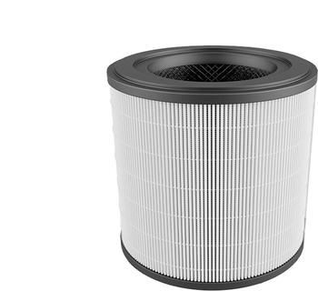 AEG Filter f&uuml;r AX31-201GY (AFFCAR2)