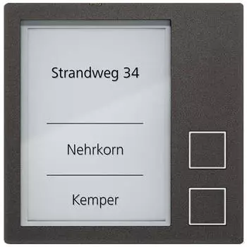 TCS AMI10912 Klingeltastenmodul 2 Tasten, schwarz (AMI10912-0057)