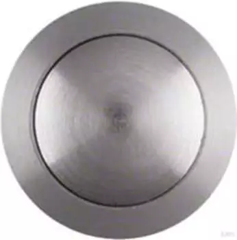 ELCOM Klingeltaster ESK-252AEE Unterputz Edelstahl (REH015Y)