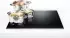 Bosch PXX645HC1E
