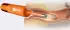 BeBird EarSight Ultra X