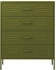 vidaXL Kommode Stahl 80x101,5cm (336198)