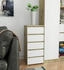 Akord Furniture Factory CL5 40x92cm
