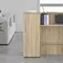 vidaXL Aufbewahrungsschrank Sonoma-Eiche 40x45x103,5cm Holzwerkstoff (859035)