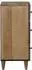 vidaXL Sideboard braun 40x33,5x75cm Massivholz Mango (4018355)