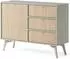 Masseno Foresta Kommode 3 Schubladen 1 Tür, hellgrün/kieferfarben, 106x38x80cm (KSZD106)